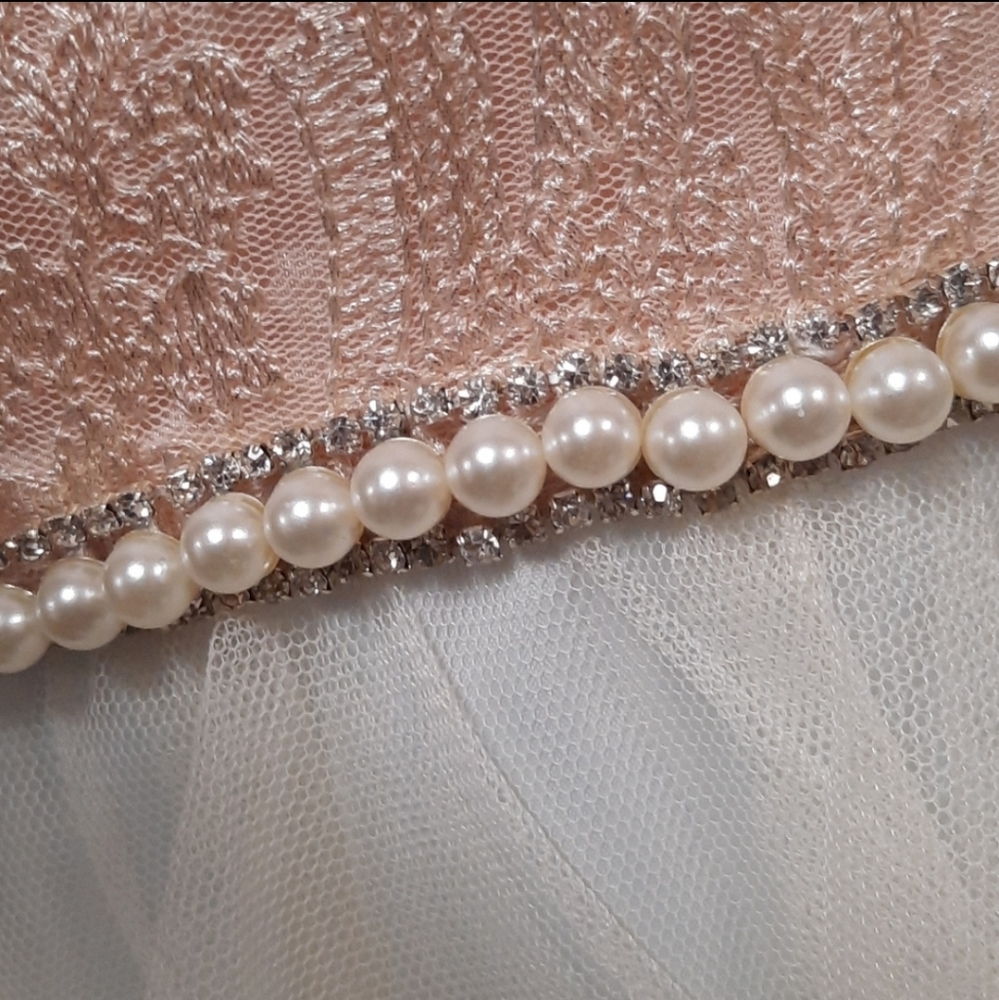 Rare Editions Pink Embroidered Lace Dress - Picture 5 of 10